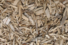 biomass boilers Logie